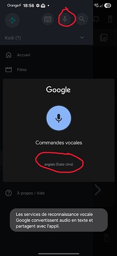 Screenshot_20260126_185608_Speech Recognition and Synthesis from Google