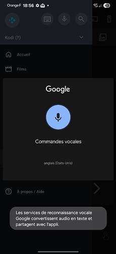 Screenshot_20260126_185608_Speech Recognition and Synthesis from Google